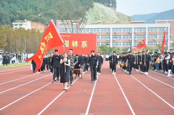 2025年新澳门原料免费