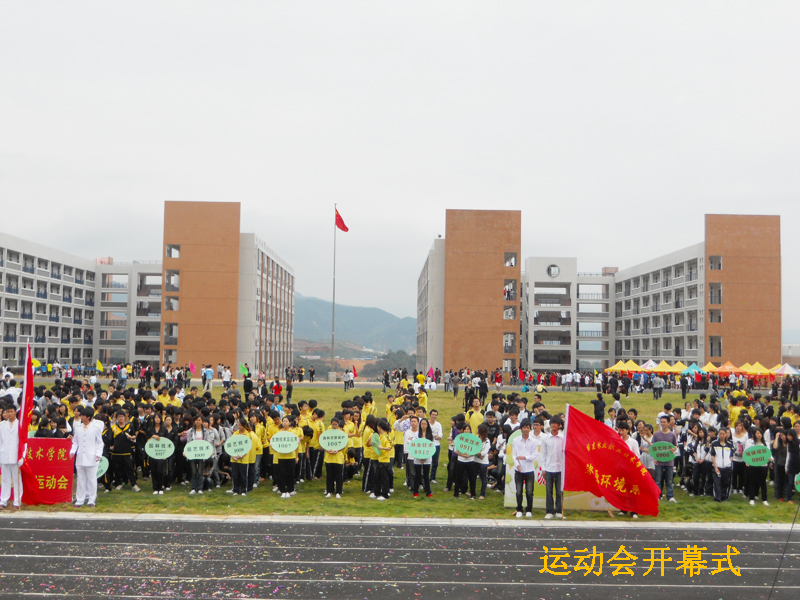 2025年新澳门原料免费