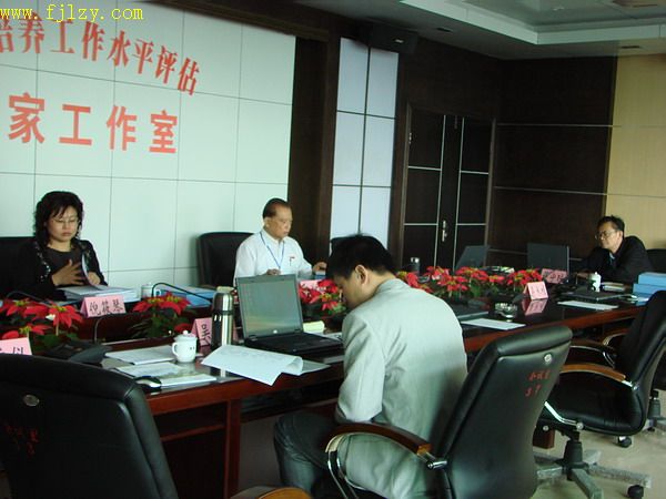 2025年新澳门原料免费