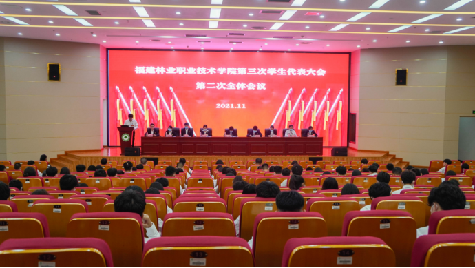 2025年新澳门原料免费