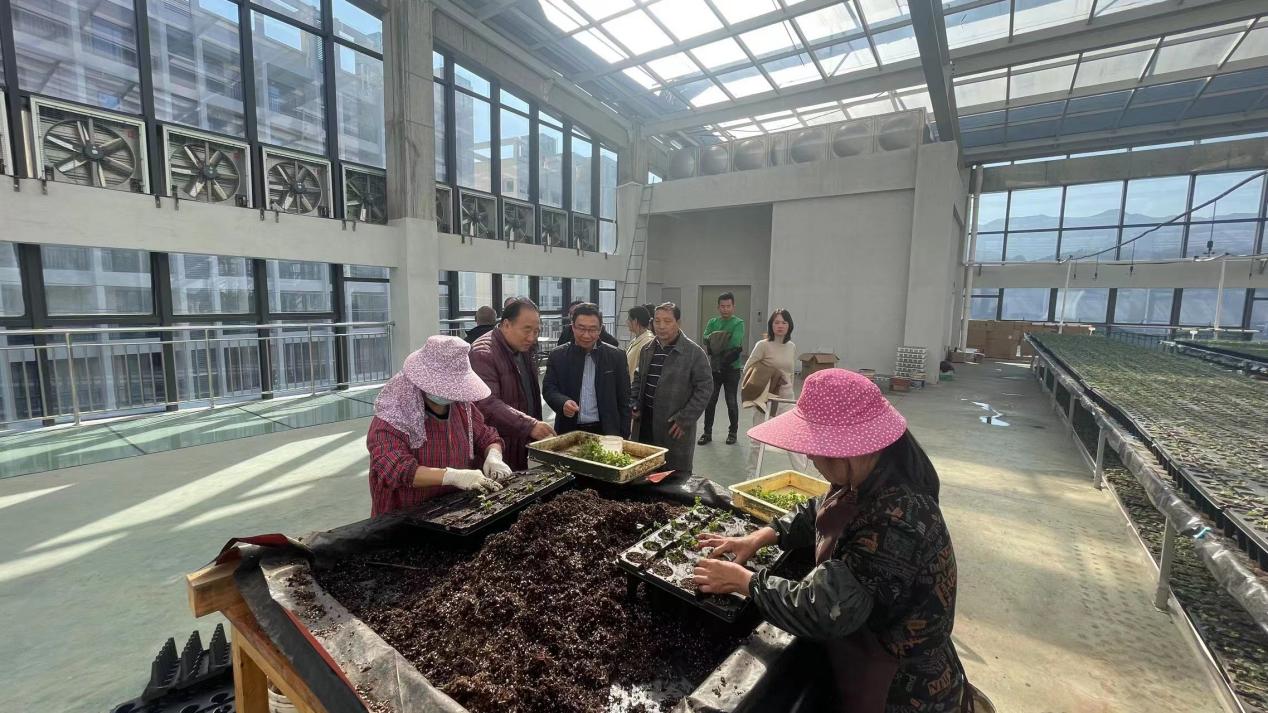 2025年新澳门原料免费