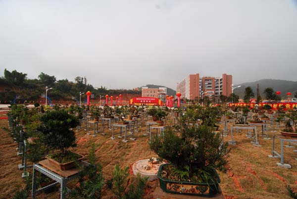 2025年新澳门原料免费