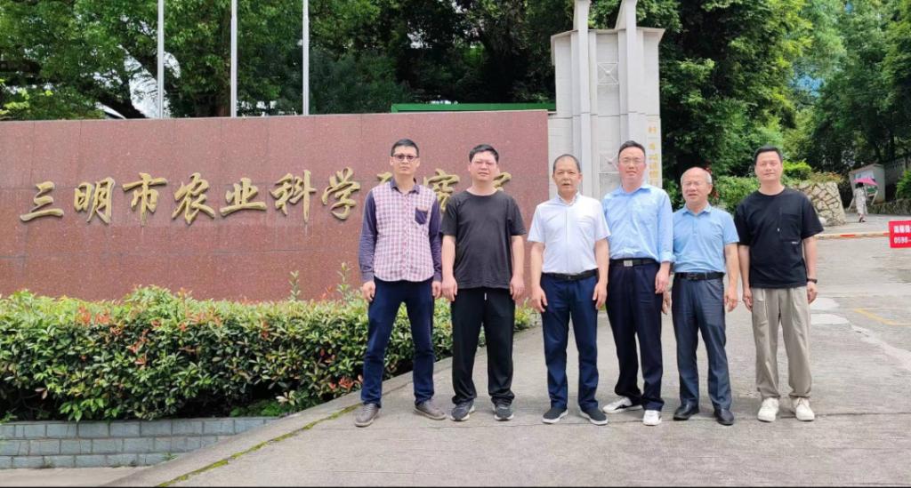 2025年新澳门原料免费 2025年新澳门原料免费
