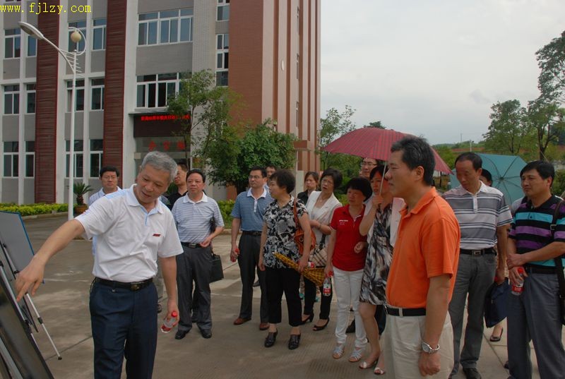 2025年新澳门原料免费