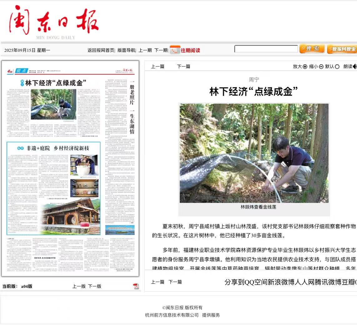 2025年新澳门原料免费