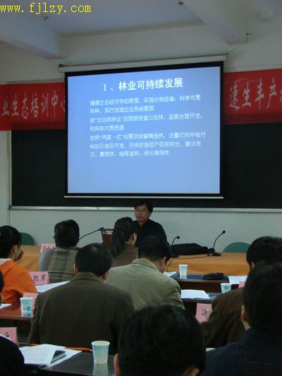 2025年新澳门原料免费