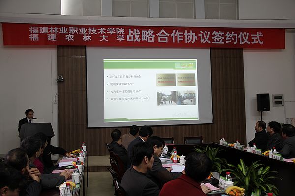 2025年新澳门原料免费