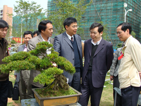 2025年新澳门原料免费