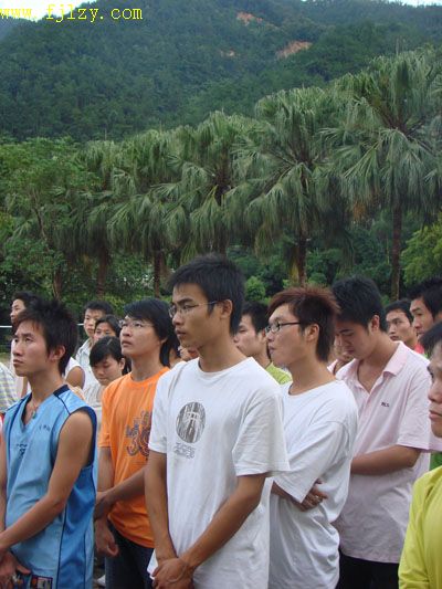 2025年新澳门原料免费