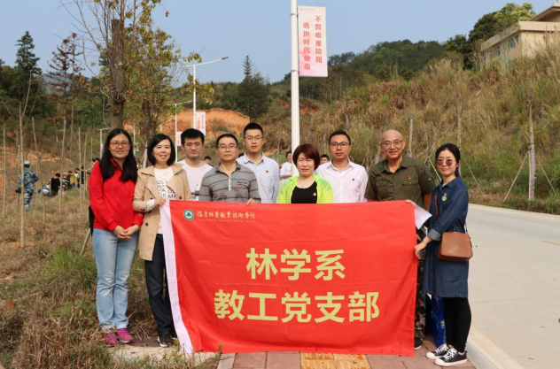 2025年新澳门原料免费