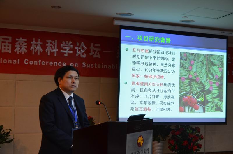 2025年新澳门原料免费