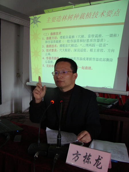 2025年新澳门原料免费