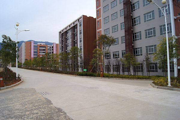 2025年新澳门原料免费