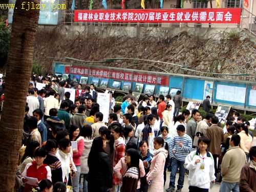 2025年新澳门原料免费