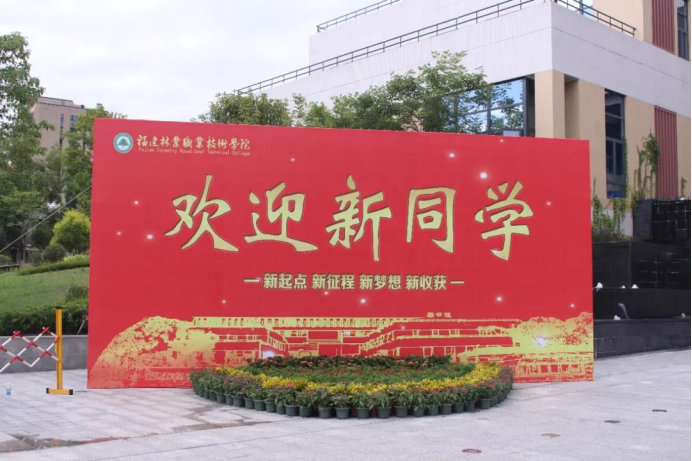 2025年新澳门原料免费