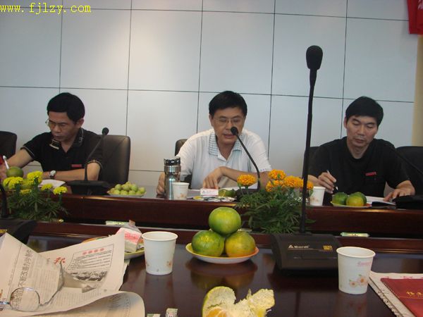 2025年新澳门原料免费