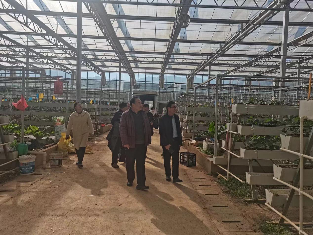 2025年新澳门原料免费