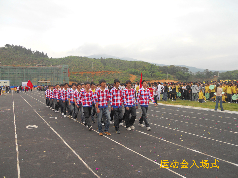 2025年新澳门原料免费