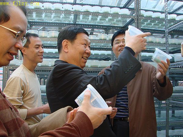 2025年新澳门原料免费