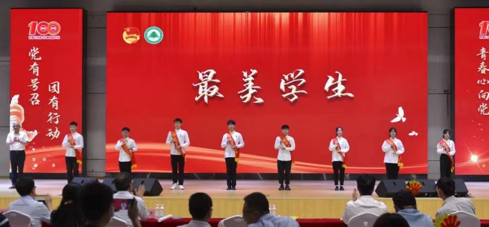 2025年新澳门原料免费