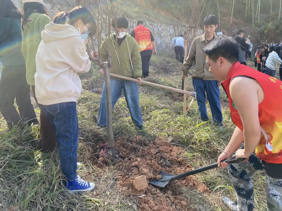 2025年新澳门原料免费