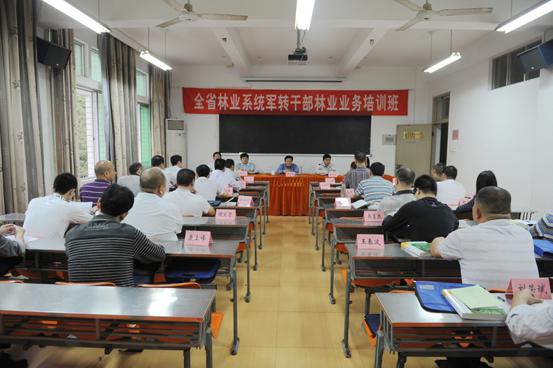 2025年新澳门原料免费
