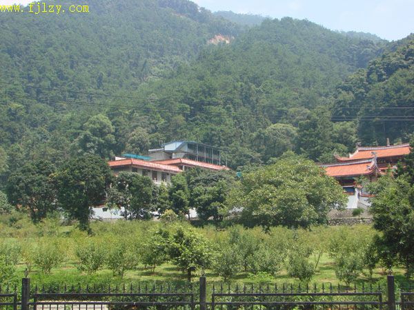 2025年新澳门原料免费