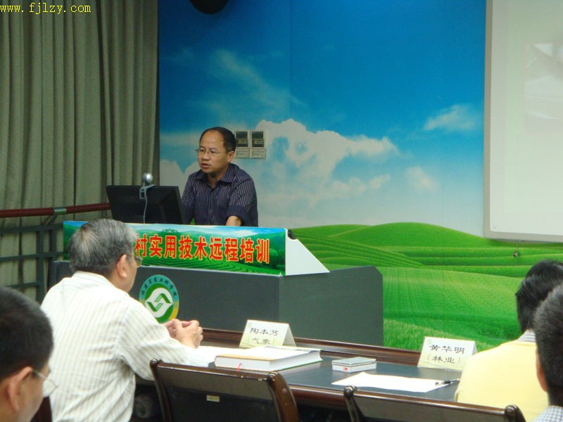2025年新澳门原料免费
