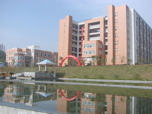 2025年新澳门原料免费