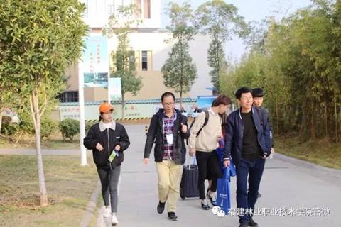 2025年新澳门原料免费