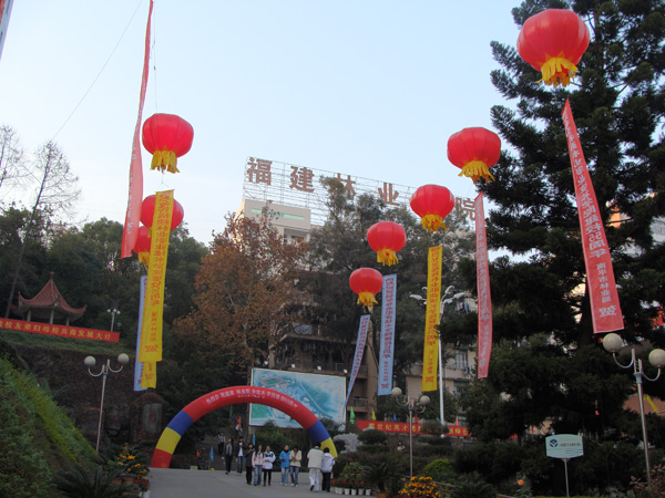 2025年新澳门原料免费