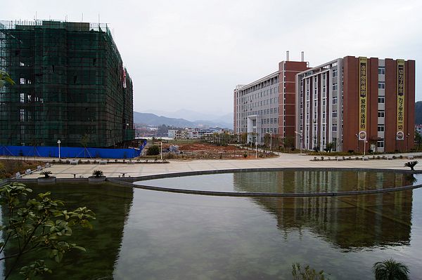 2025年新澳门原料免费