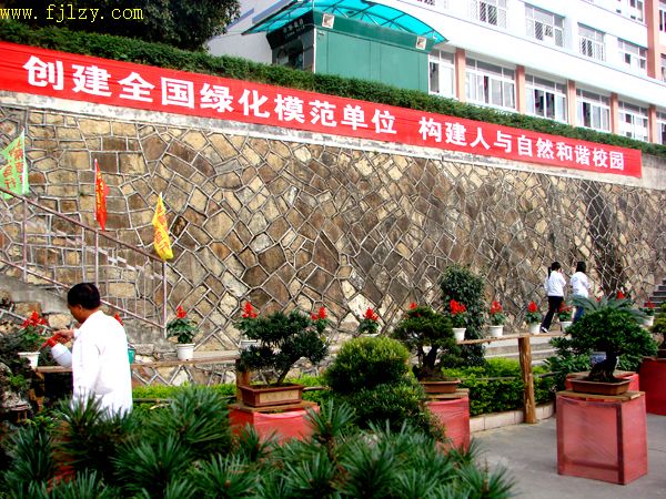 2025年新澳门原料免费