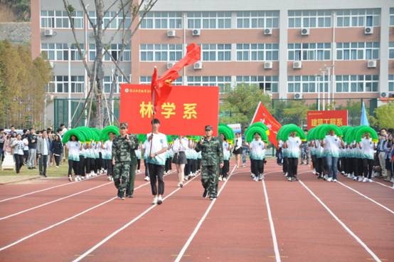 2025年新澳门原料免费
