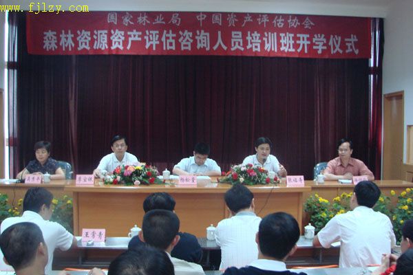 2025年新澳门原料免费