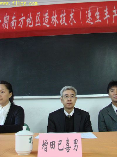 2025年新澳门原料免费