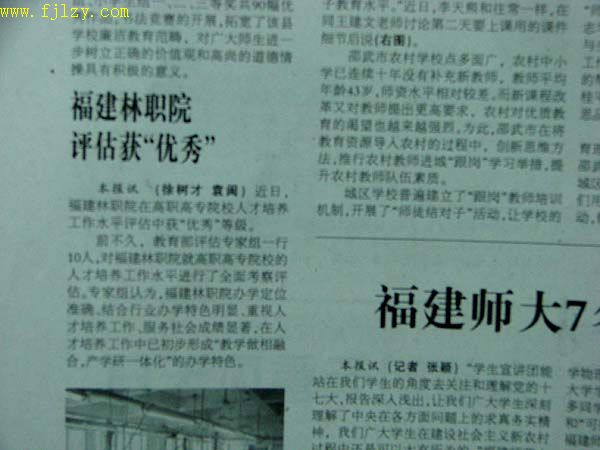 2025年新澳门原料免费