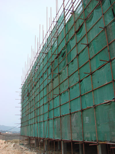 2025年新澳门原料免费