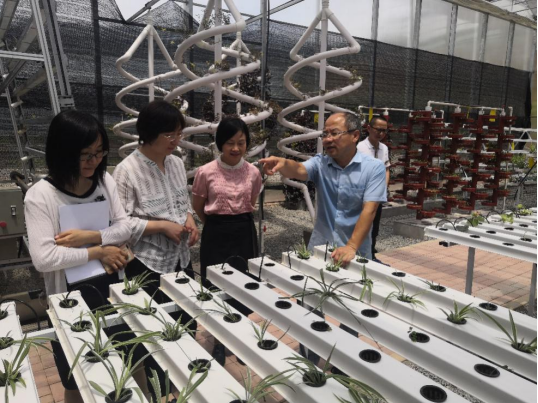 2025年新澳门原料免费