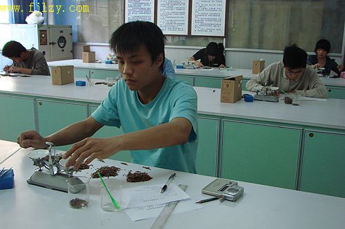 2025年新澳门原料免费