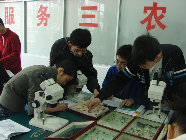 2025年新澳门原料免费