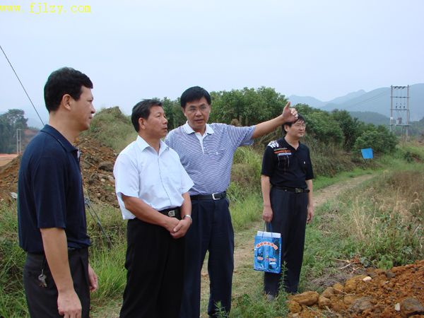 2025年新澳门原料免费
