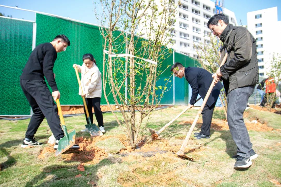 2025年新澳门原料免费