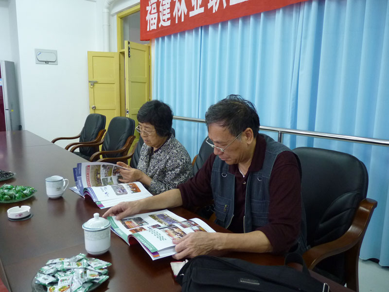 2025年新澳门原料免费
