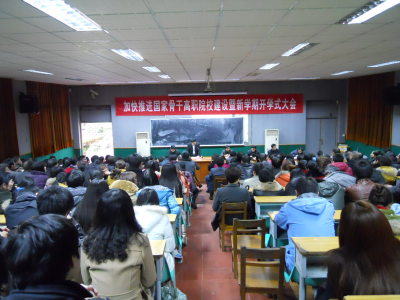 2025年新澳门原料免费
