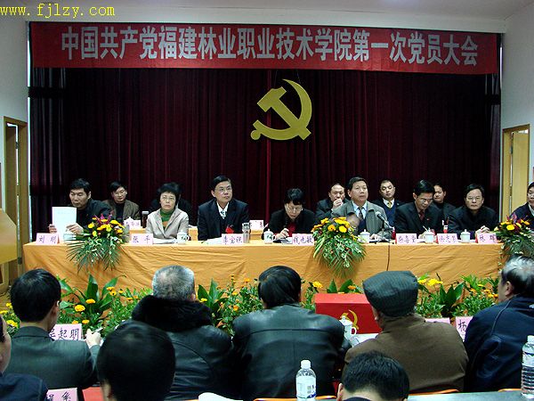 2025年新澳门原料免费