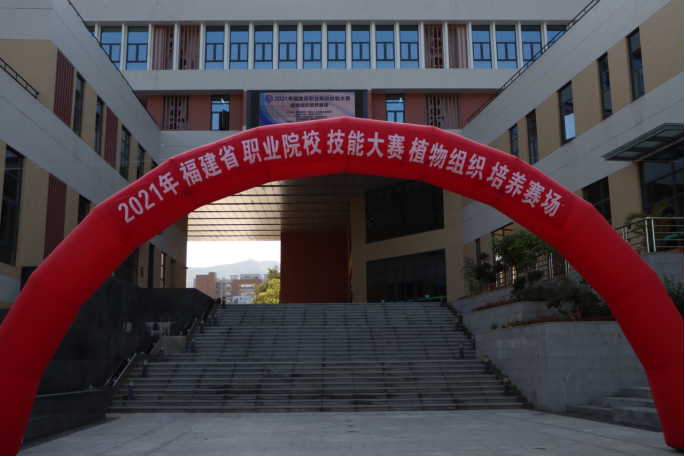2025年新澳门原料免费