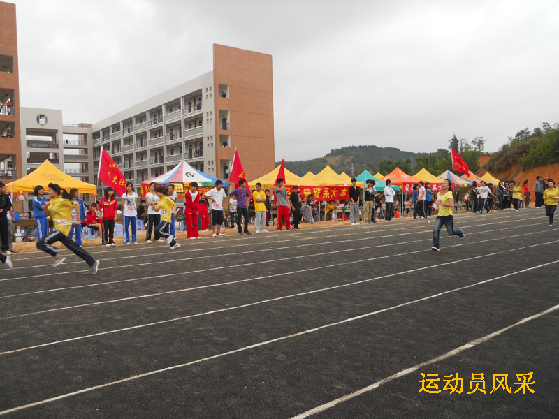 2025年新澳门原料免费