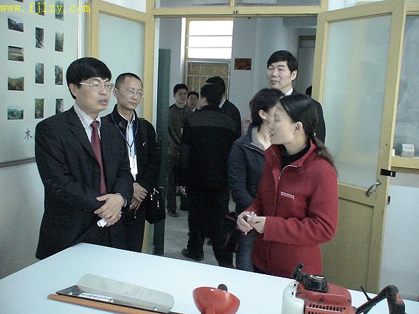 2025年新澳门原料免费