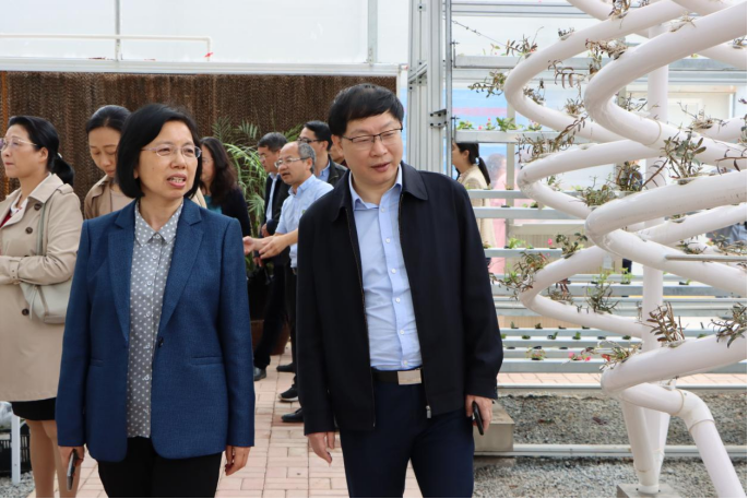 2025年新澳门原料免费